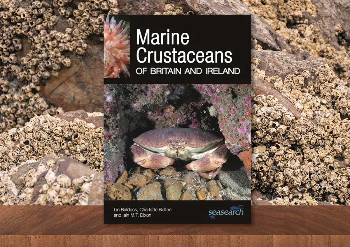 Author interview with Lin Baldock, Charlotte Bolton and Iain Dixon: Marine Crustaceans of Britain and Ireland