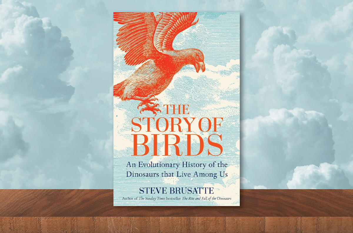 Book review – The Story of Birds: An Evolutionary History of the Dinosaurs That Live Among Us