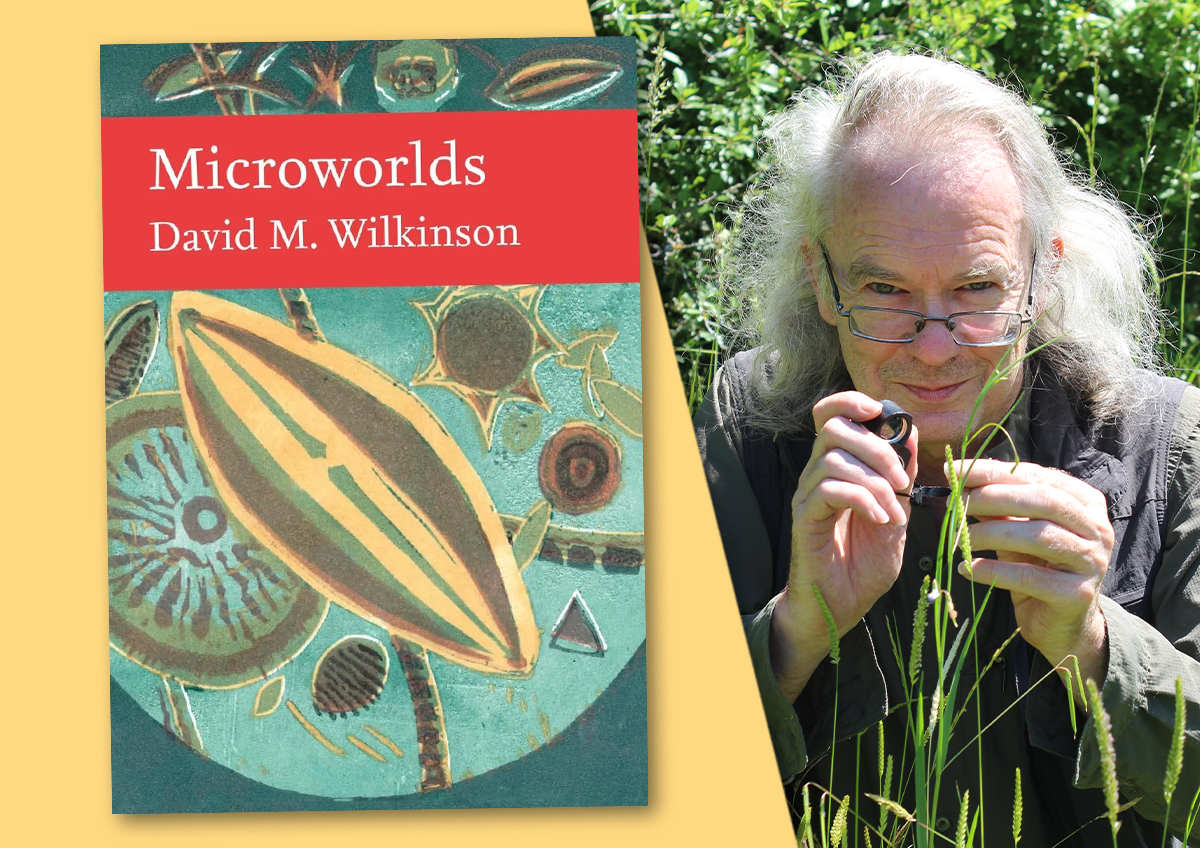 Author interview with David M Wilkinson: Microworlds