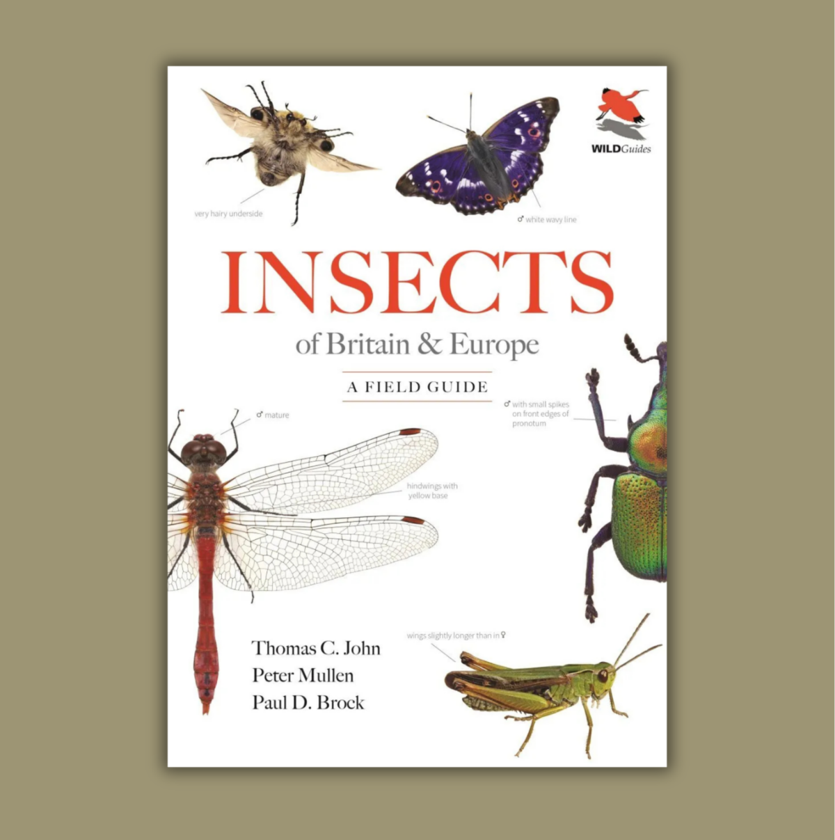 Author Interview with Thomas John and Paul Brock: Insects of Britain & Europe