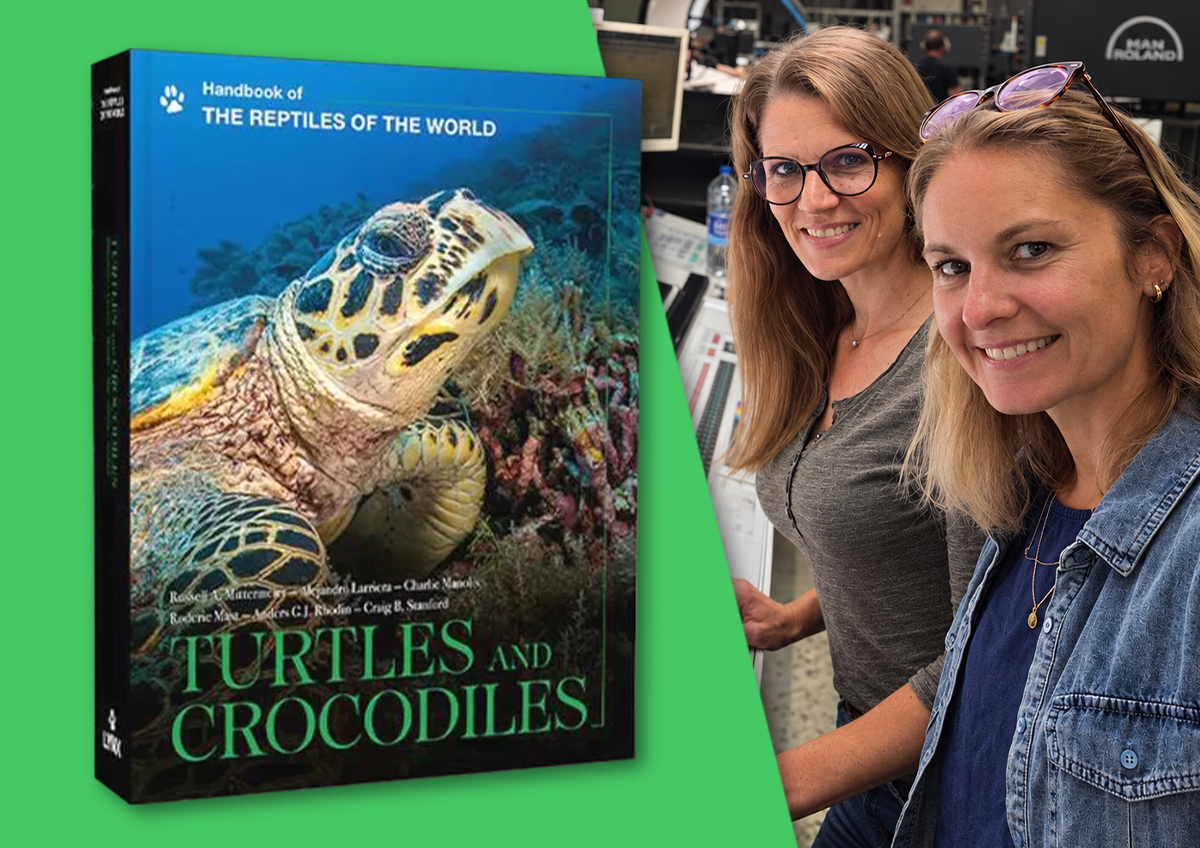 Interview with Amy Chernasky & Lauren Heinz – Handbook of the Reptiles of the World, Volume 1: Turtles and Crocodiles