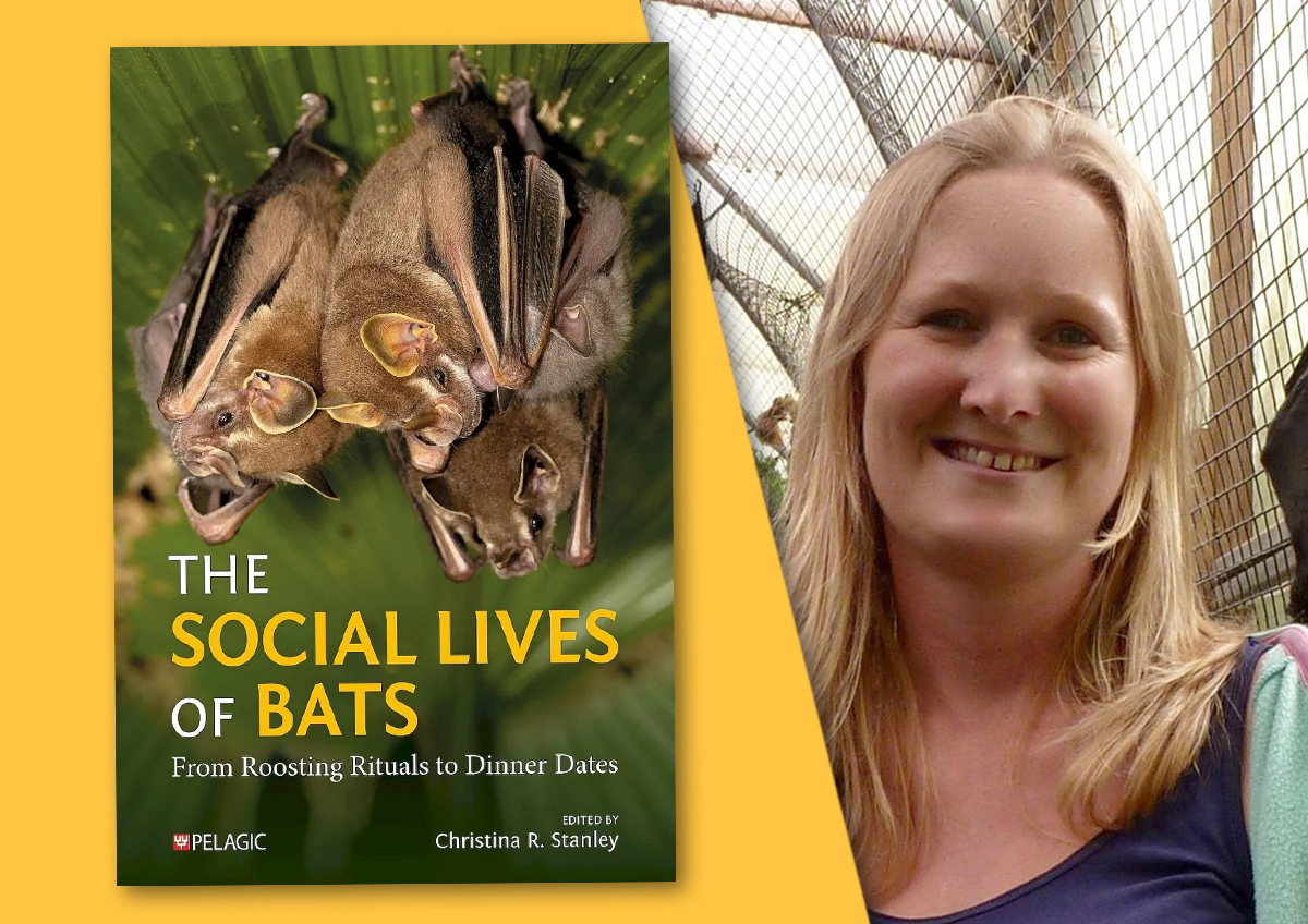 Editor Interview with Christina Stanley: The Social Lives of Bats